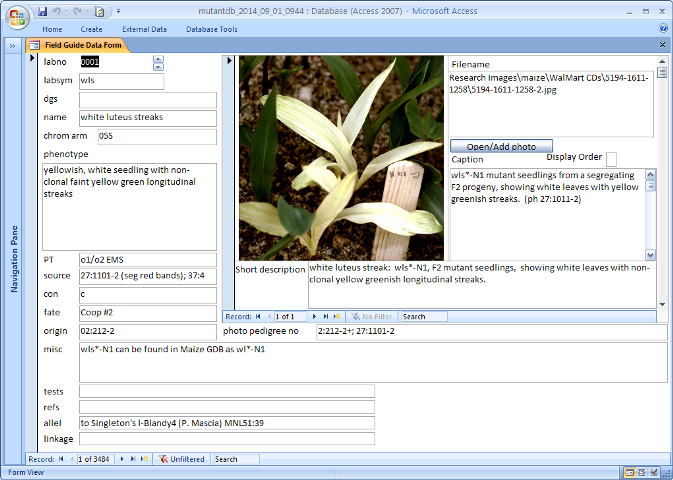 database_sample_image_480px.png database_sample_image_480px.png