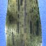 7099-3173-1866-25.jpg