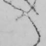 7101-3161-2580-70.jpg
